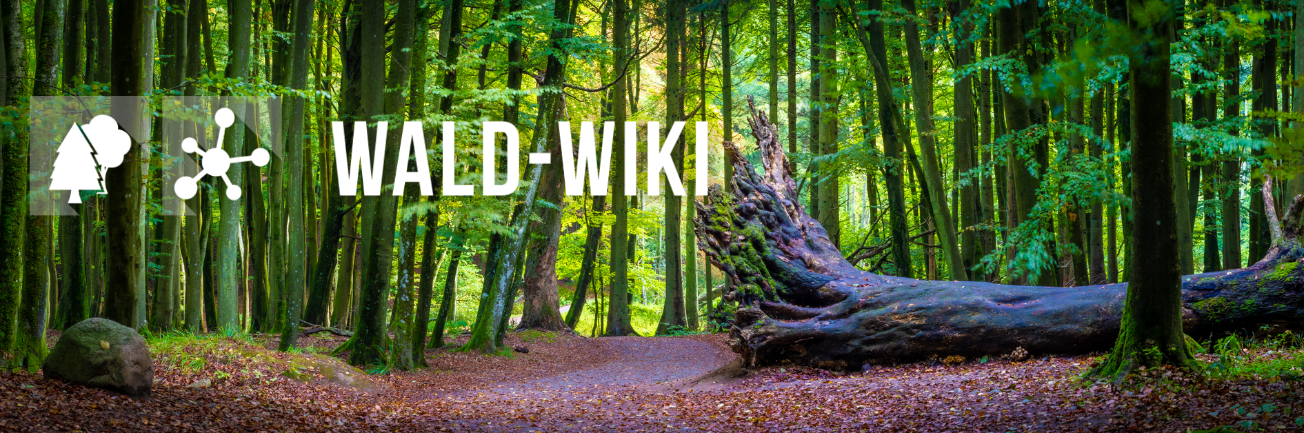 Wald Wiki Banner