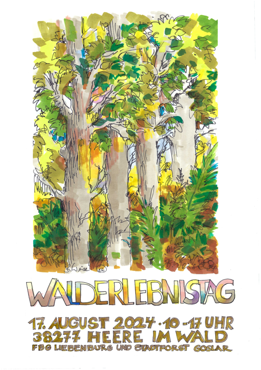 Infoflyer Walderlebnistag 1 1